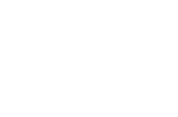 Everhome Logo